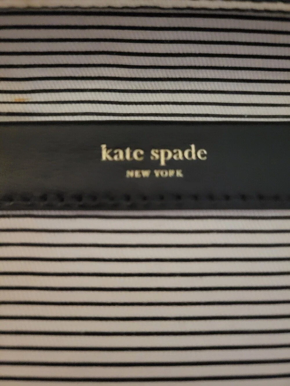 kate spade cute collectible